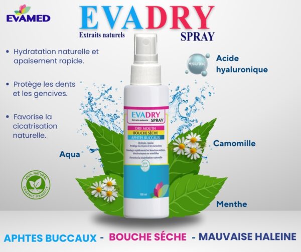 EVADRY SPRAY APHTES BUCCAUX 100ML – Image 2